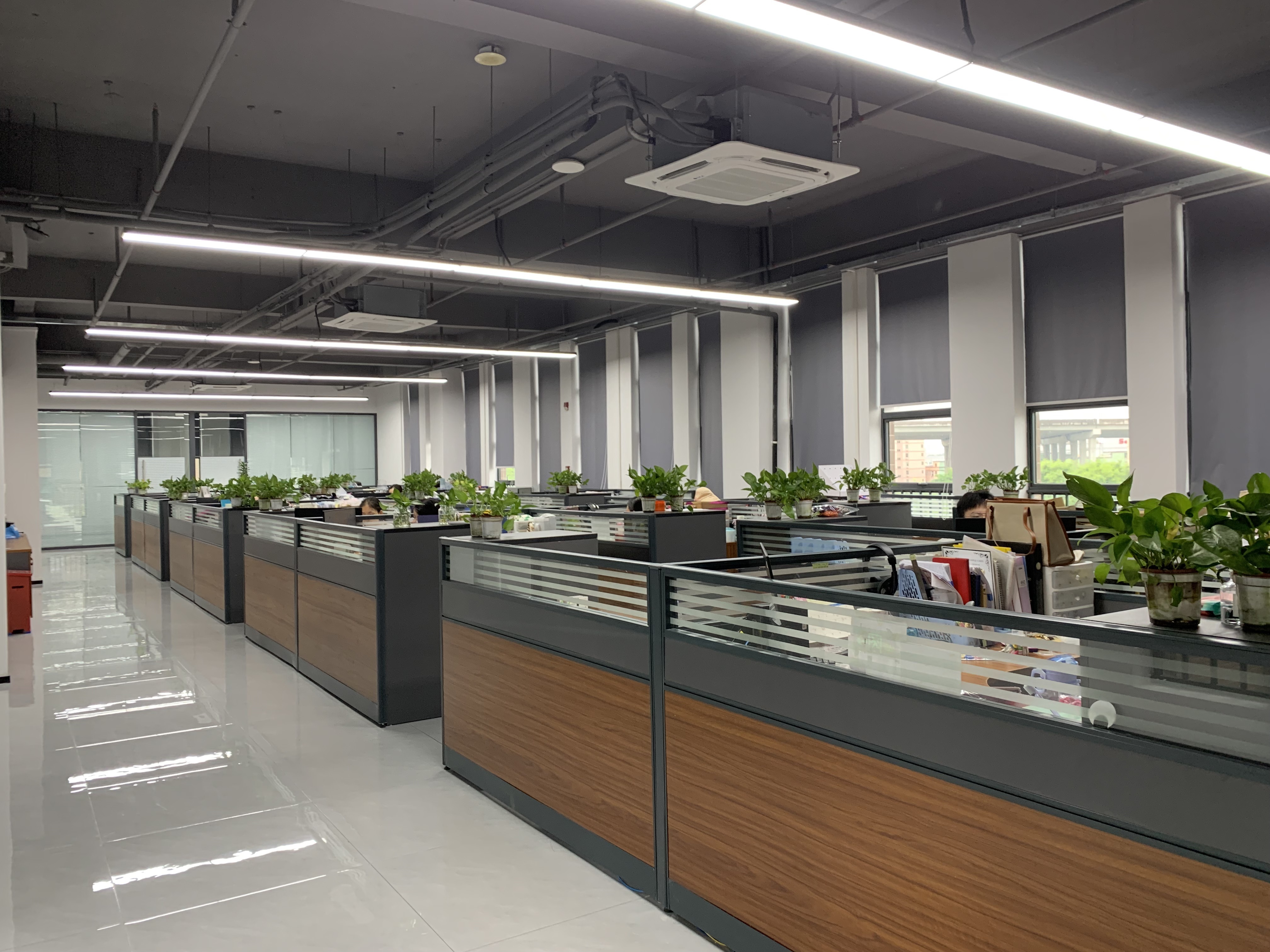 Китай RICHSTAR (SHENZHEN) LIMITED Профиль компании